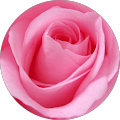 Anjali Singh profile picture