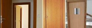 Acoustic Doors
